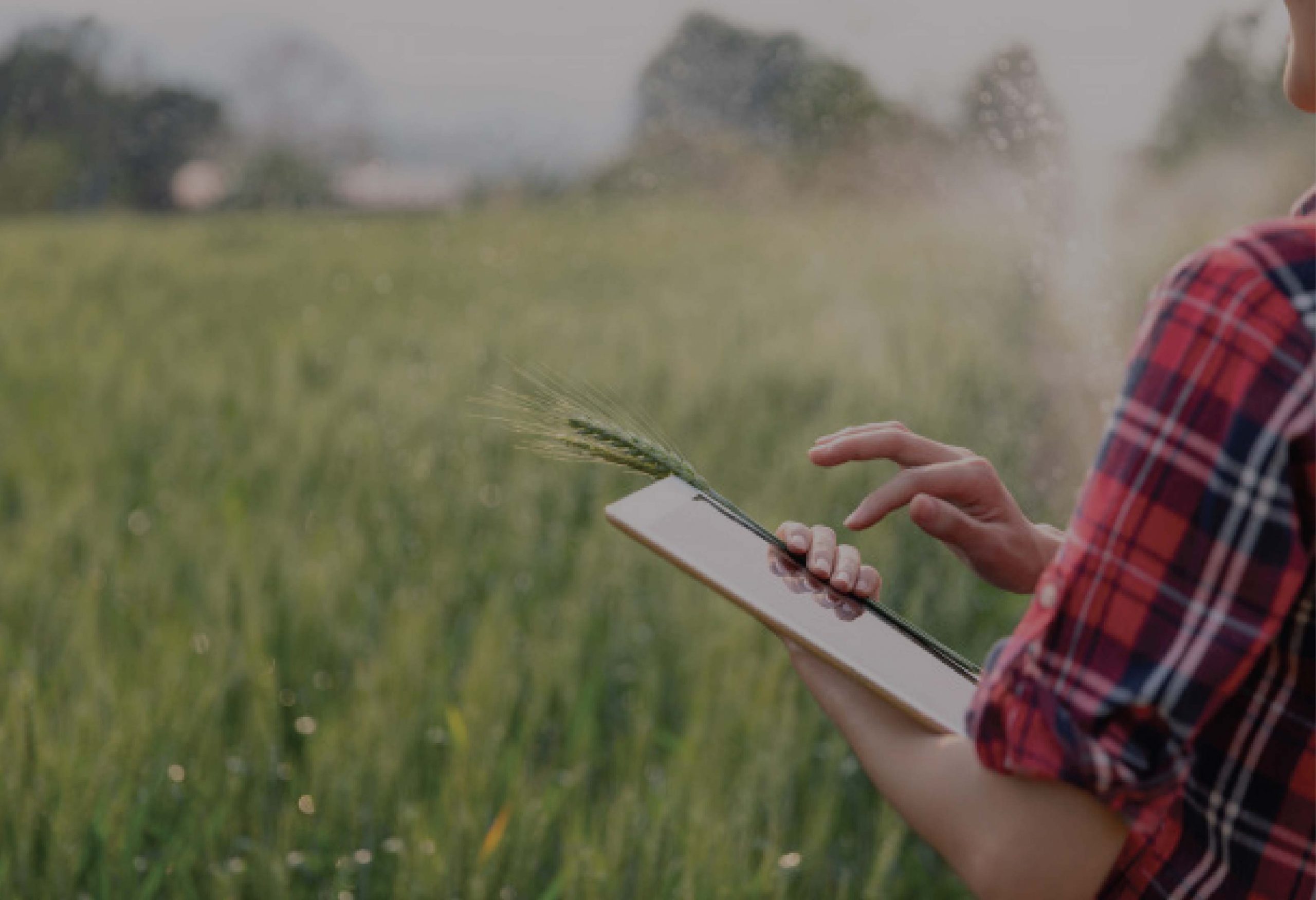 Agriculture Technology